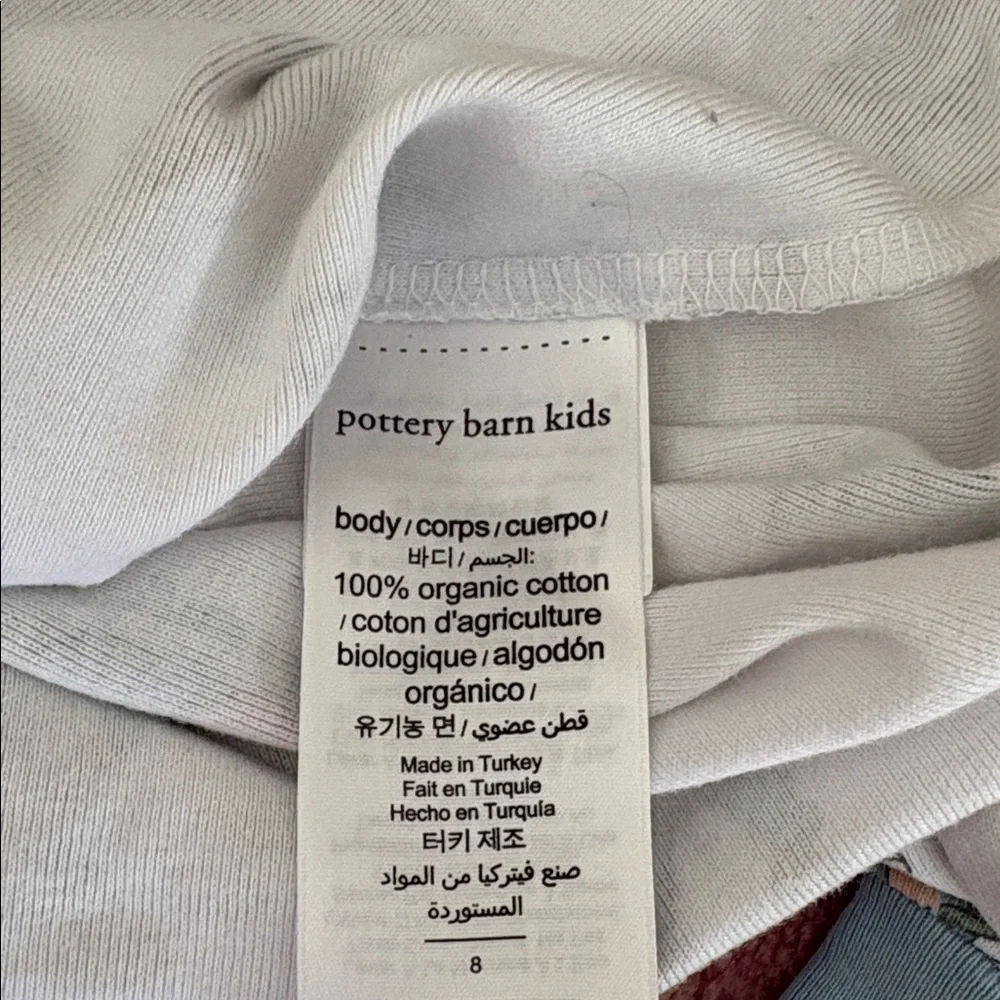 Pottery Barn Kids Organic Cotton Peter Rabbit Pajama Set - Unisex Easter PJs